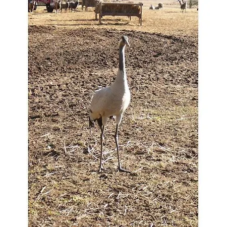 With 2 Bedrooms * Torgelow am See